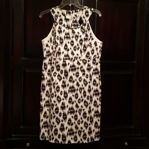 Leopard Print dress